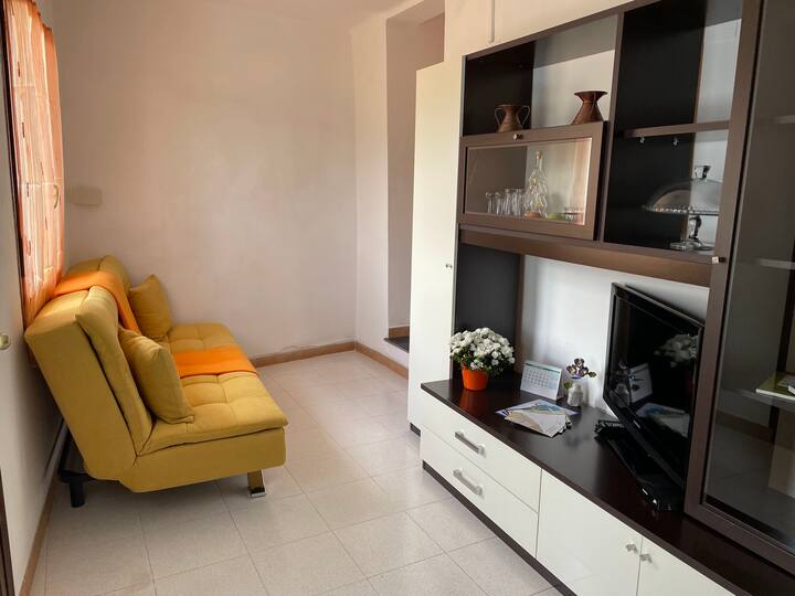 living room with TV and sofa bed