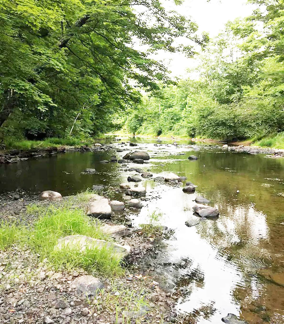 NEW Log House on Creek w/ 70 ft.Waterfall24 acres Houses for Rent in