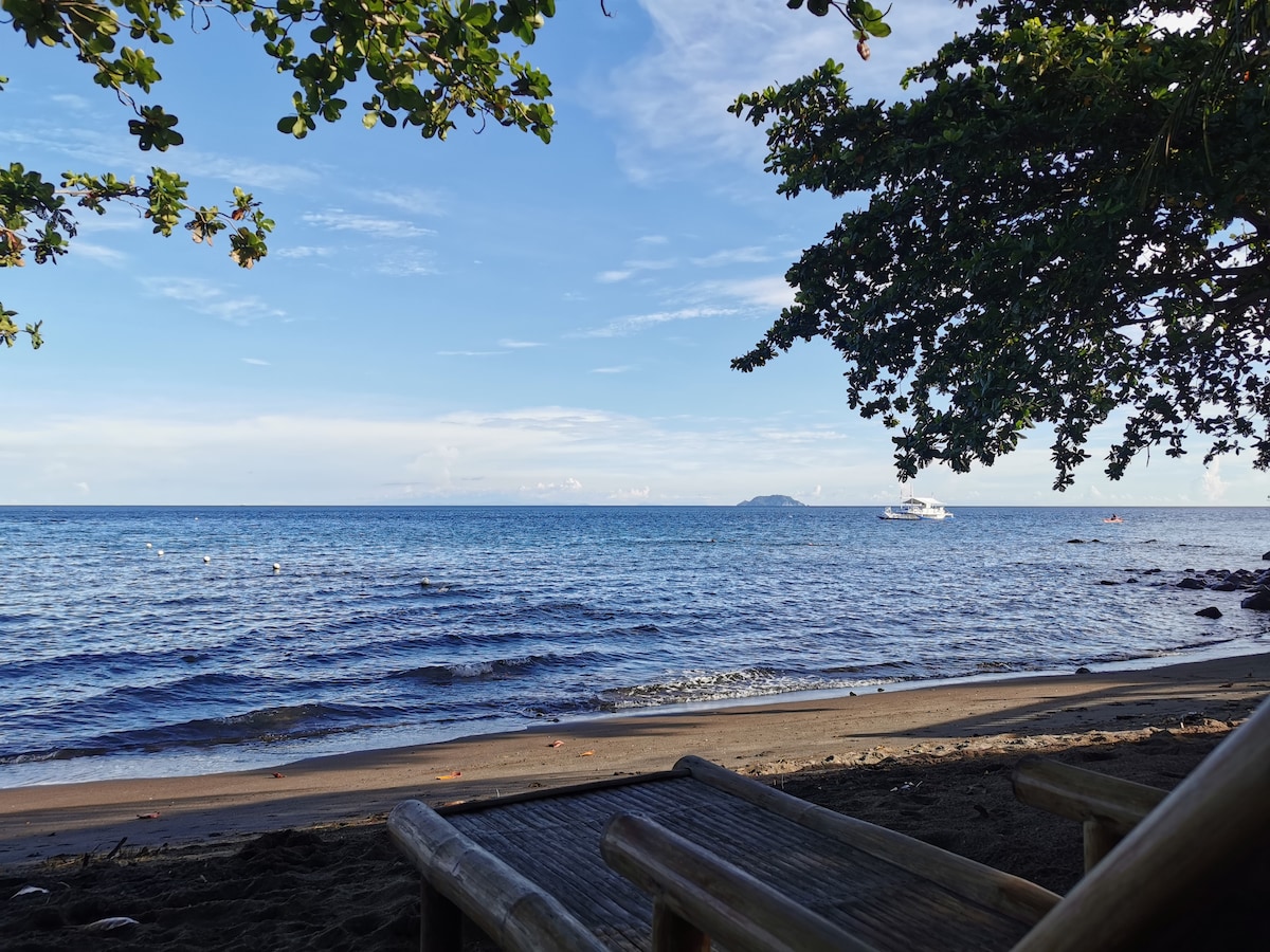 A sandy beach is framed by lush greenery and overhanging branches. Gentle waves lap against the shore, while a distant boat can be seen on the horizon. The tranquil scene offers a view of a clear sky with a few scattered clouds.