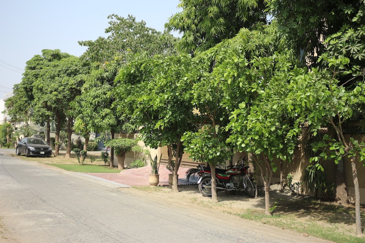 A tree-lined street is featured, with lush greenery creating a serene atmosphere. A parked car and motorcycles are visible on the neatly maintained lawn, along with ornamental plants and pathways leading to a residential structure.