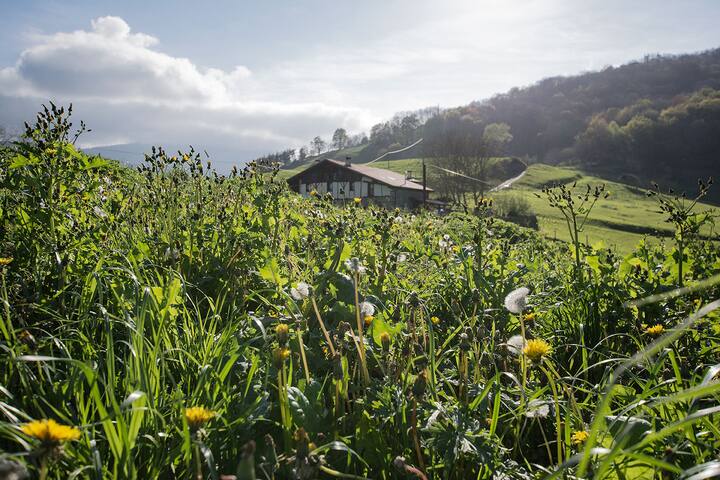 Otardi, ideal familias y grupos .
