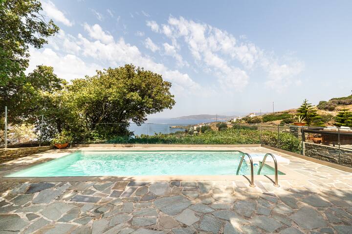 Luxurious villa private swimmingpoo gallery image 2