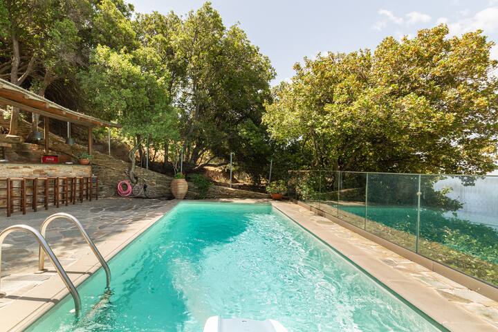 Luxurious villa private swimmingpoo gallery image 3