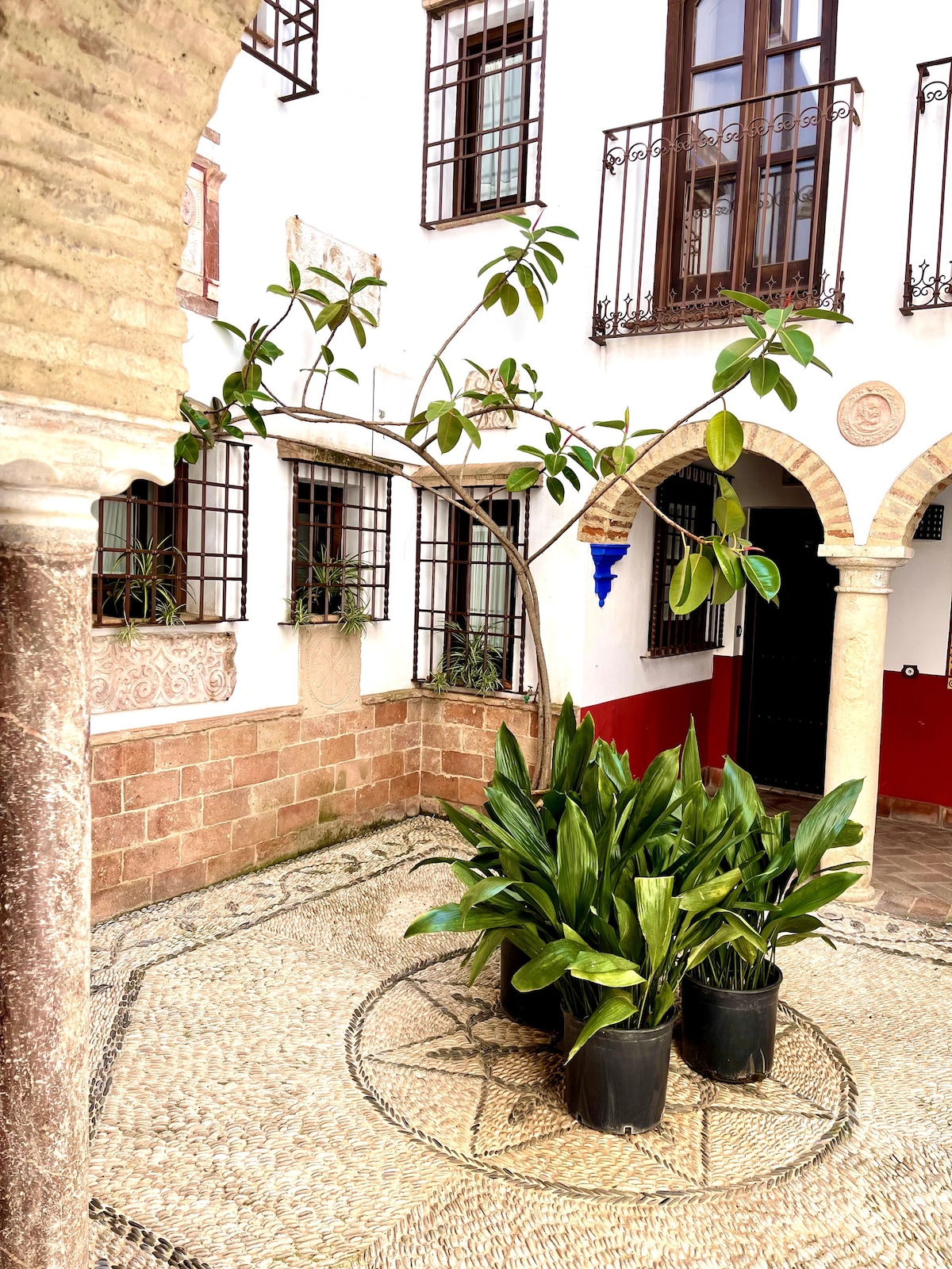 Córdoba Patio Rentals - Andalusia, Spain | Airbnb