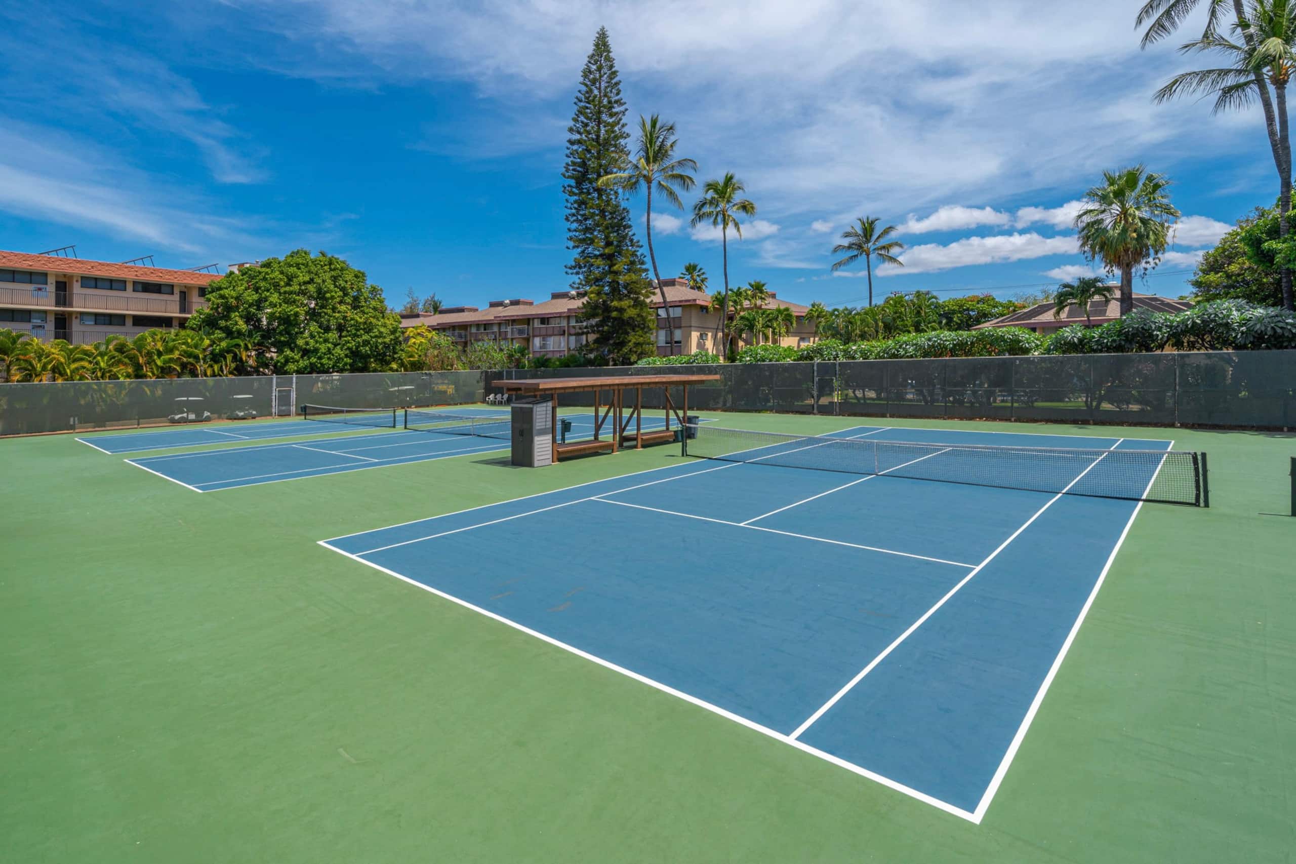 Condo in Kihei · ★4.92 · 1 bedroom · 2 beds · 2 private baths - Image 27