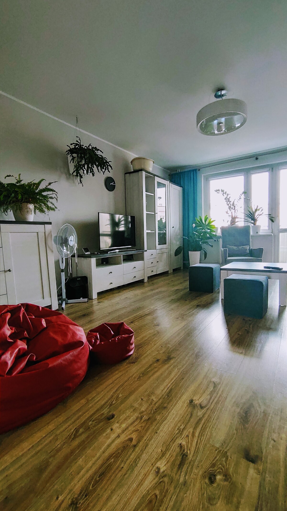 A light-filled living area features wooden flooring with a mix of seating options, including a comfortable armchair and bean bags. A flat-screen TV is positioned on a light-colored cabinet, surrounded by greenery from potted plants. Large glass doors open to a balcony, enhancing the airy atmosphere.
