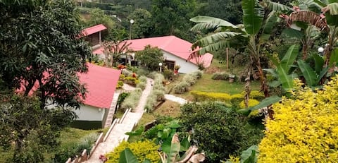 Successful Airbnb property: Great view, pool, BBQ and more in La Vega