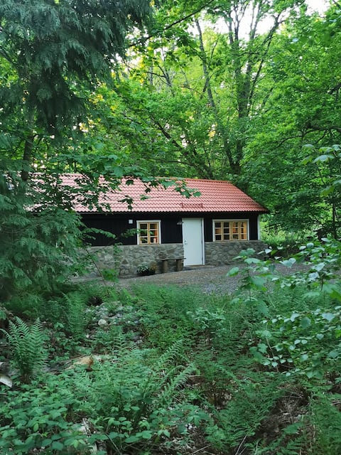 Child-friendly cottage by lush Bränneslyckeskogen