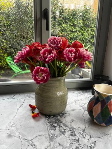 Tolles Haus mit Garten in Nähe Prenzlauer Berg gallery image 5