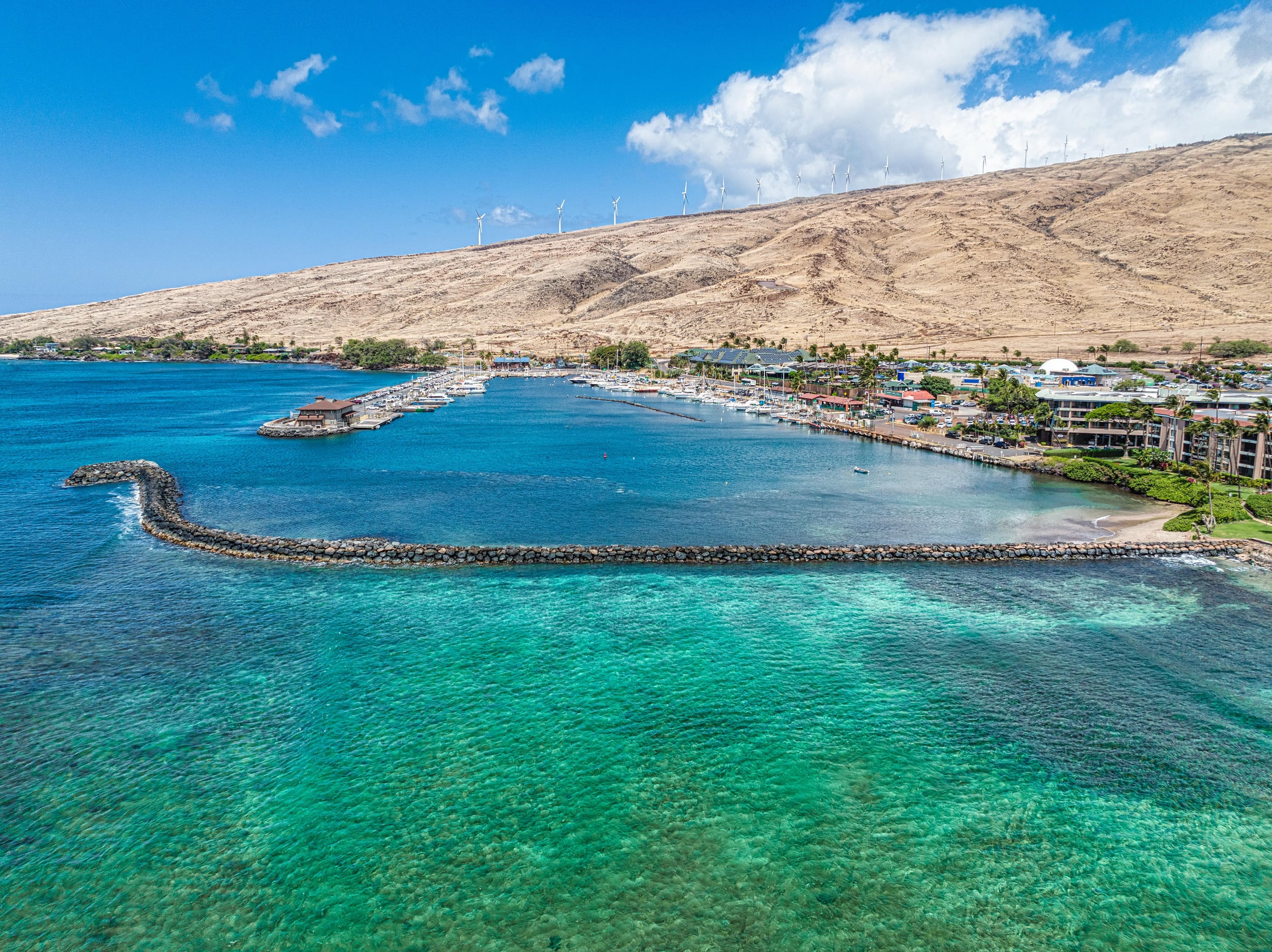 Condo in Wailuku · ★5.0 · 2 bedrooms · 3 beds · 2 baths - Image 45
