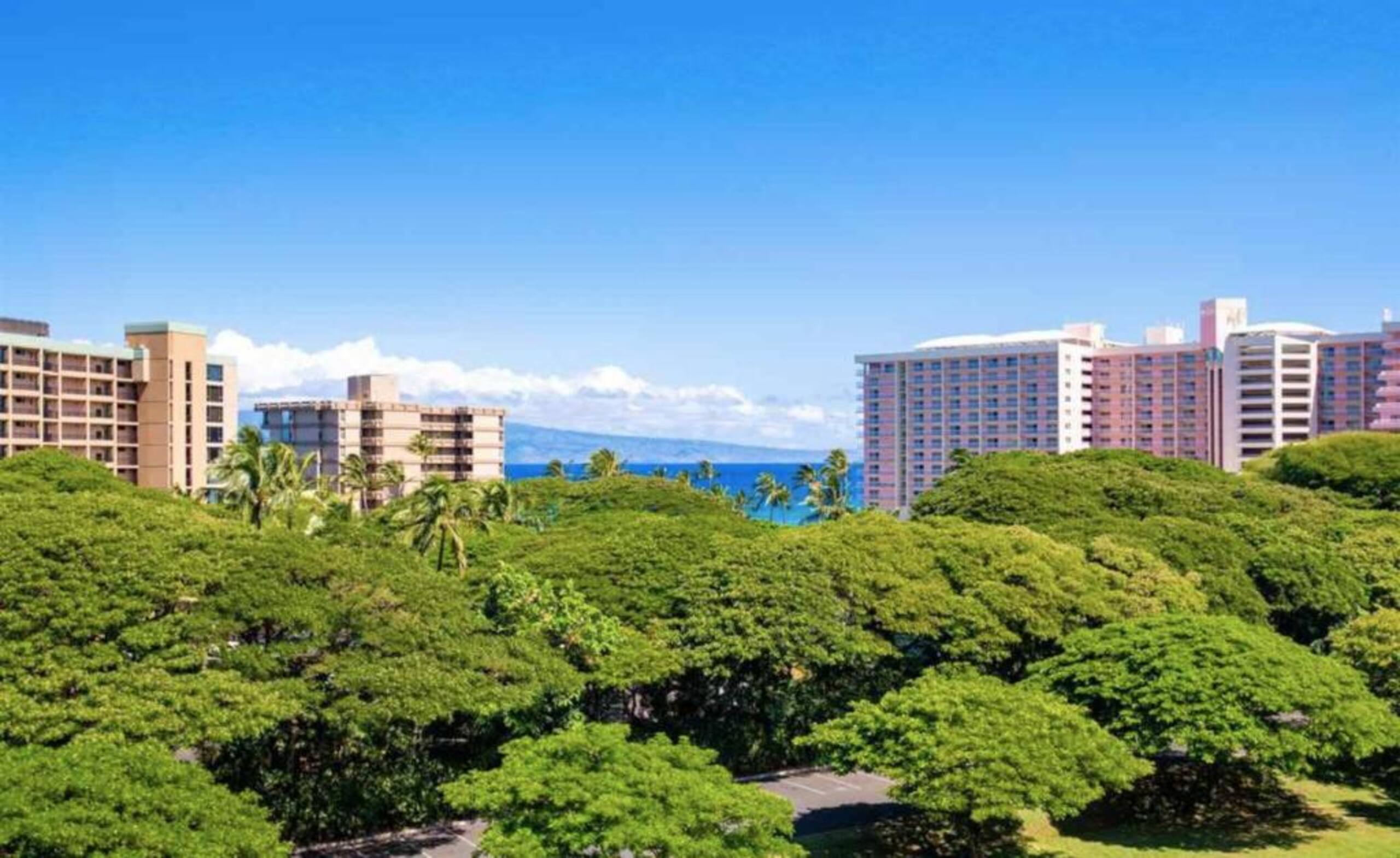 Condo in Lahaina · ★4.94 · 2 bedrooms · 1 bed · 1 bath - Image 19