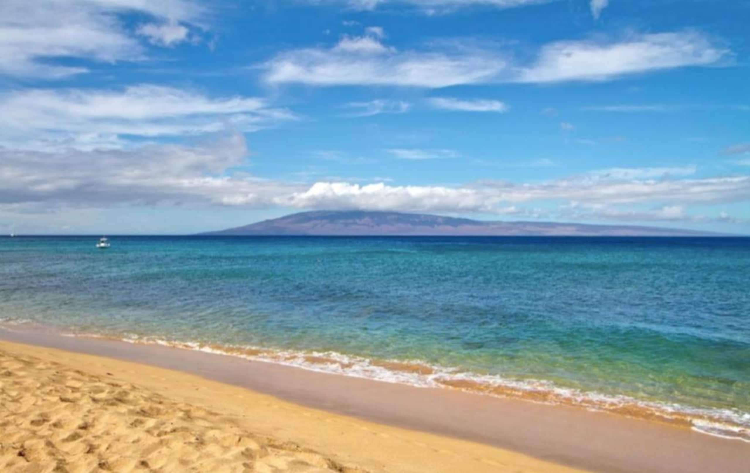 Condo in Lahaina · ★4.94 · 2 bedrooms · 1 bed · 1 bath - Image 23