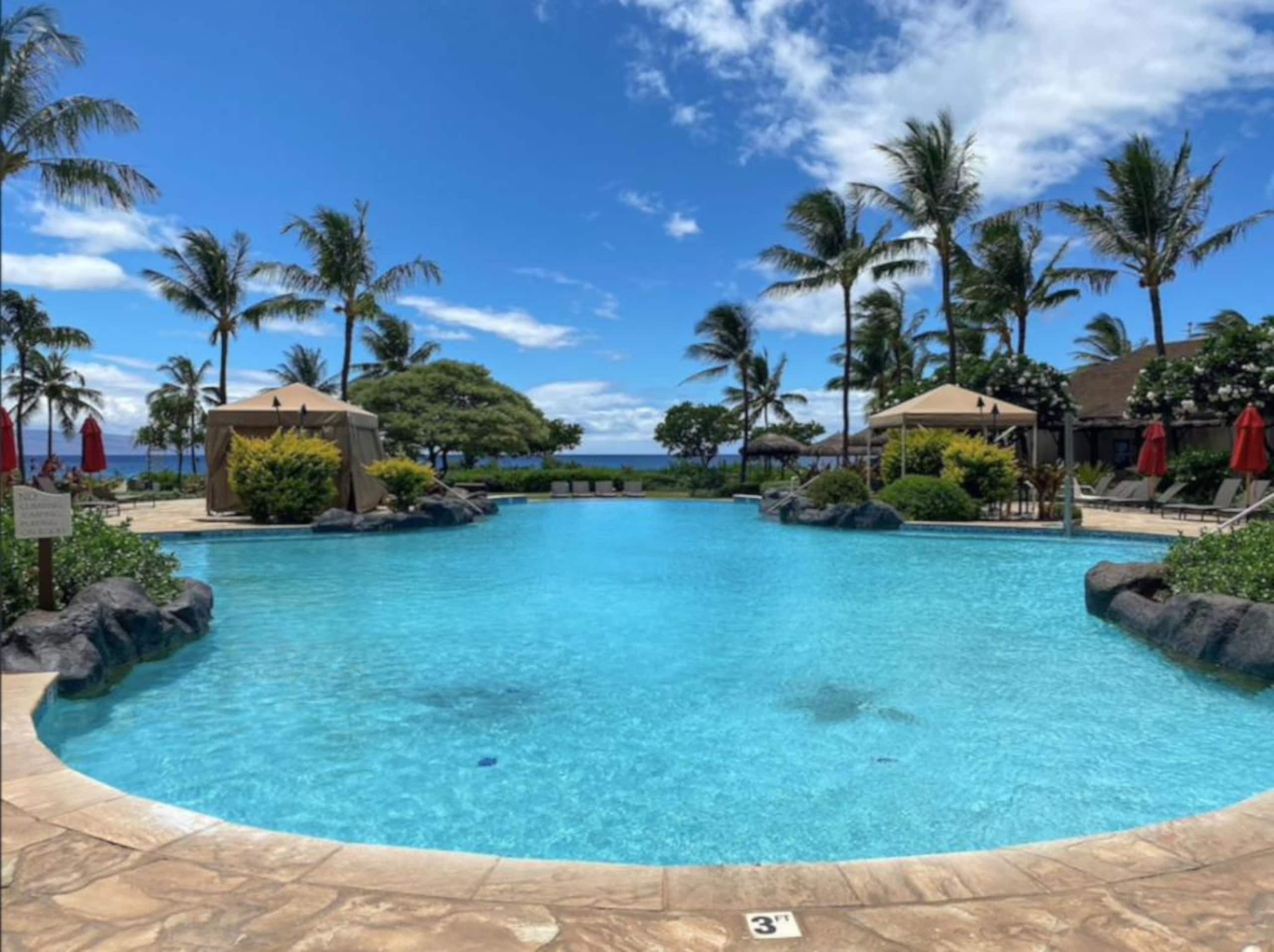 Condo in Lahaina · ★4.94 · 2 bedrooms · 1 bed · 1 bath - Image 18