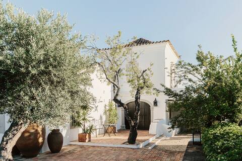 Luxury Country Estate Retreat w/ maid service