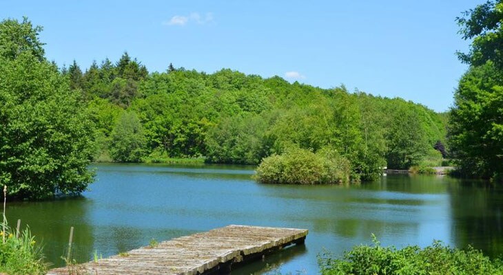 picture 1