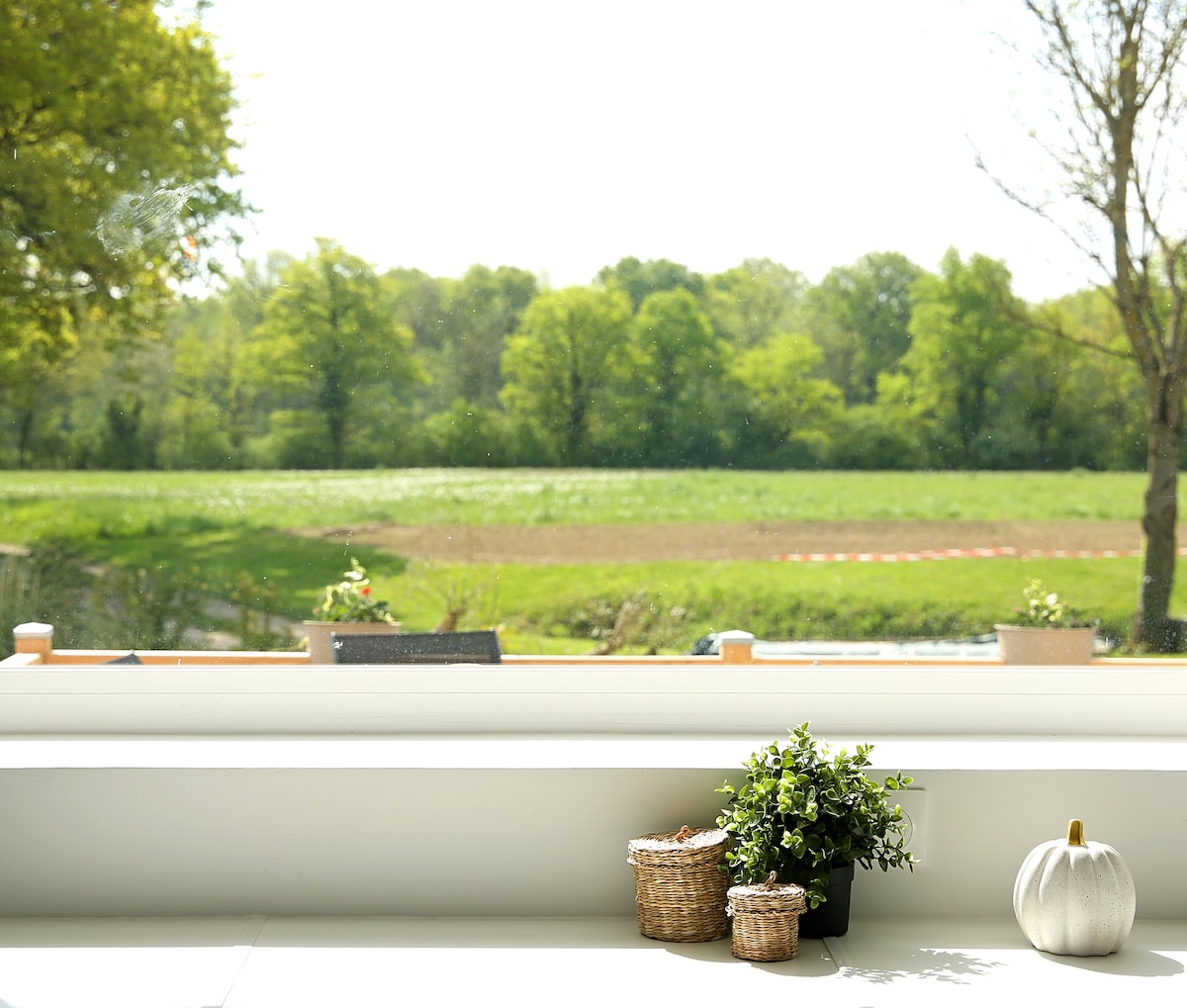 A bright window view showcases a lush green landscape, dotted with trees and farmland. A small collection of potted plants and decorative items sits on the windowsill, adding a touch of nature to the interior.