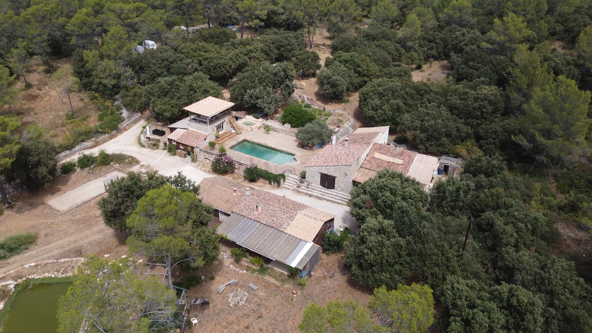 An aerial view captures the sprawling property nestled among trees, featuring a residential complex with terracotta roofs. A central swimming pool is framed by a spacious terrace, while a boulodrome and outdoor kitchen can be seen nearby, highlighting the property's recreational areas.