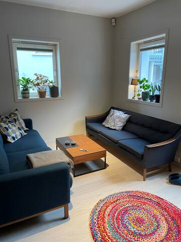 Large house – unique and charming – central Oslo gallery image 3