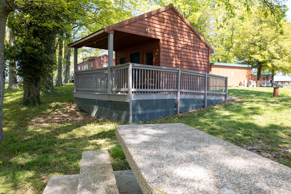 A cozy cabin is seen nestled among green trees, featuring a wraparound porch with a railing. A stone picnic table is positioned near the cabin, providing an outdoor space for gatherings. The cabin's earthy tones blend harmoniously with the natural surroundings.