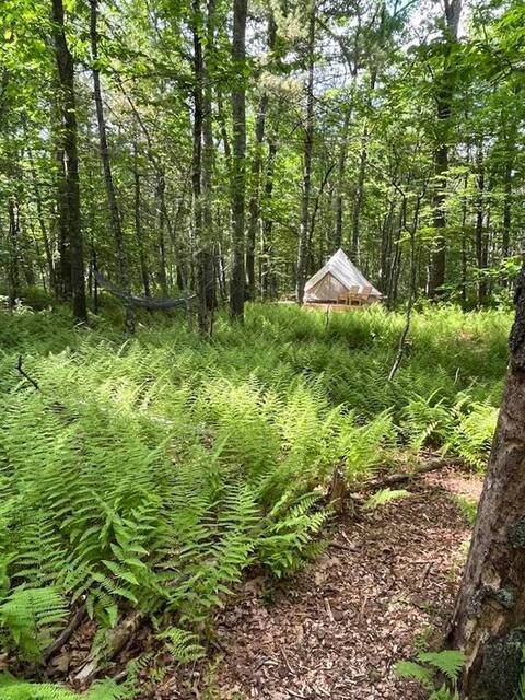 The Ferns at Glamp Frogmore