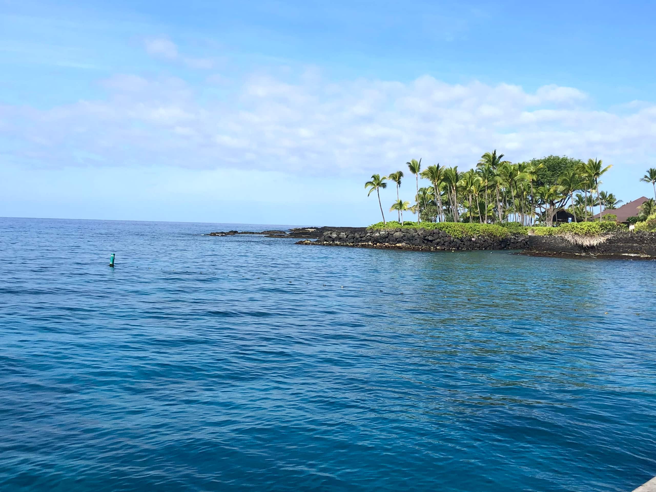 Condo in Kailua-Kona · ★4.91 · 1 bedroom · 1 bed · 1 bath - Image 24