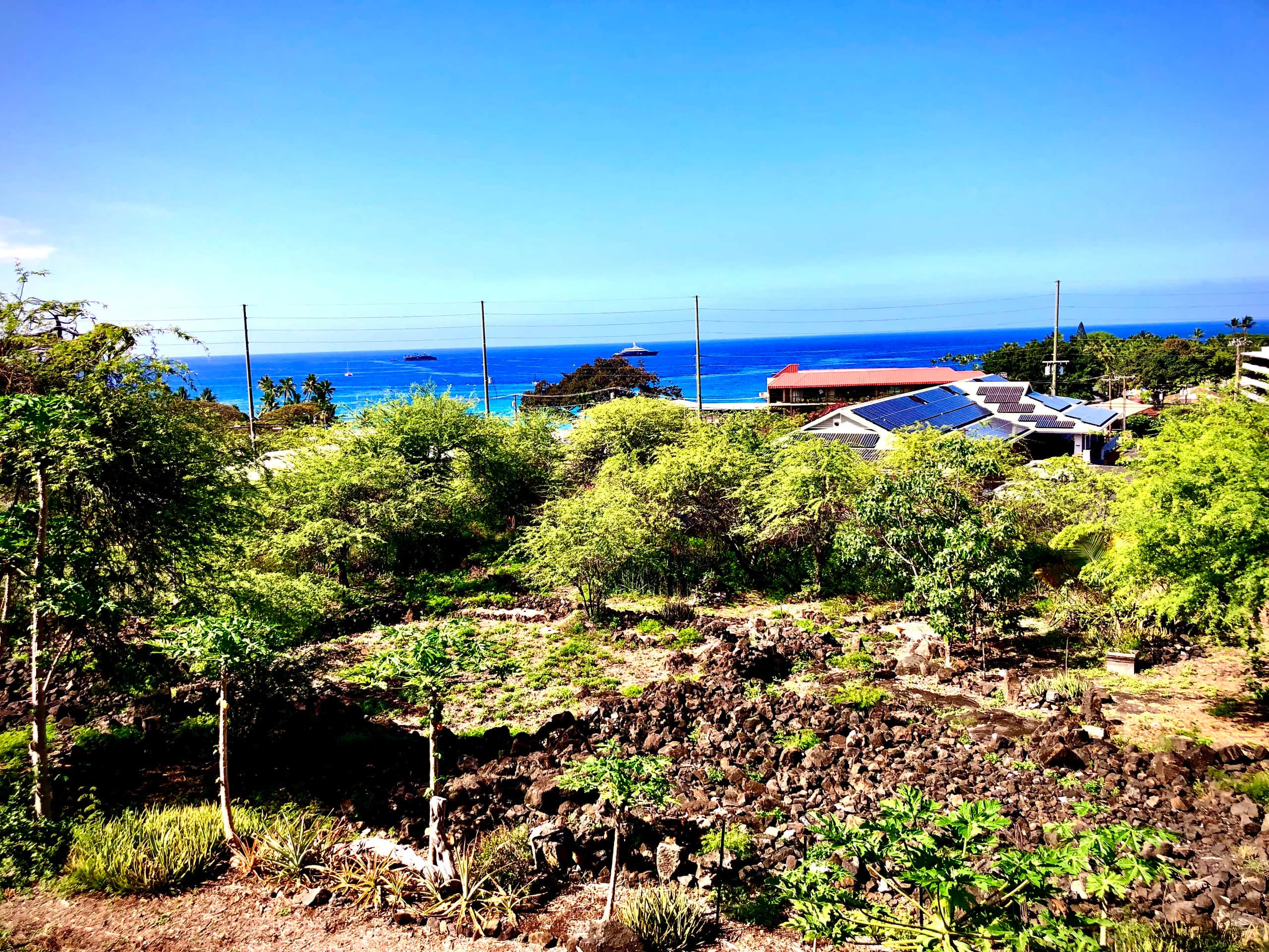 Condo in Kailua-Kona · ★4.91 · 1 bedroom · 1 bed · 1 bath - Image 16