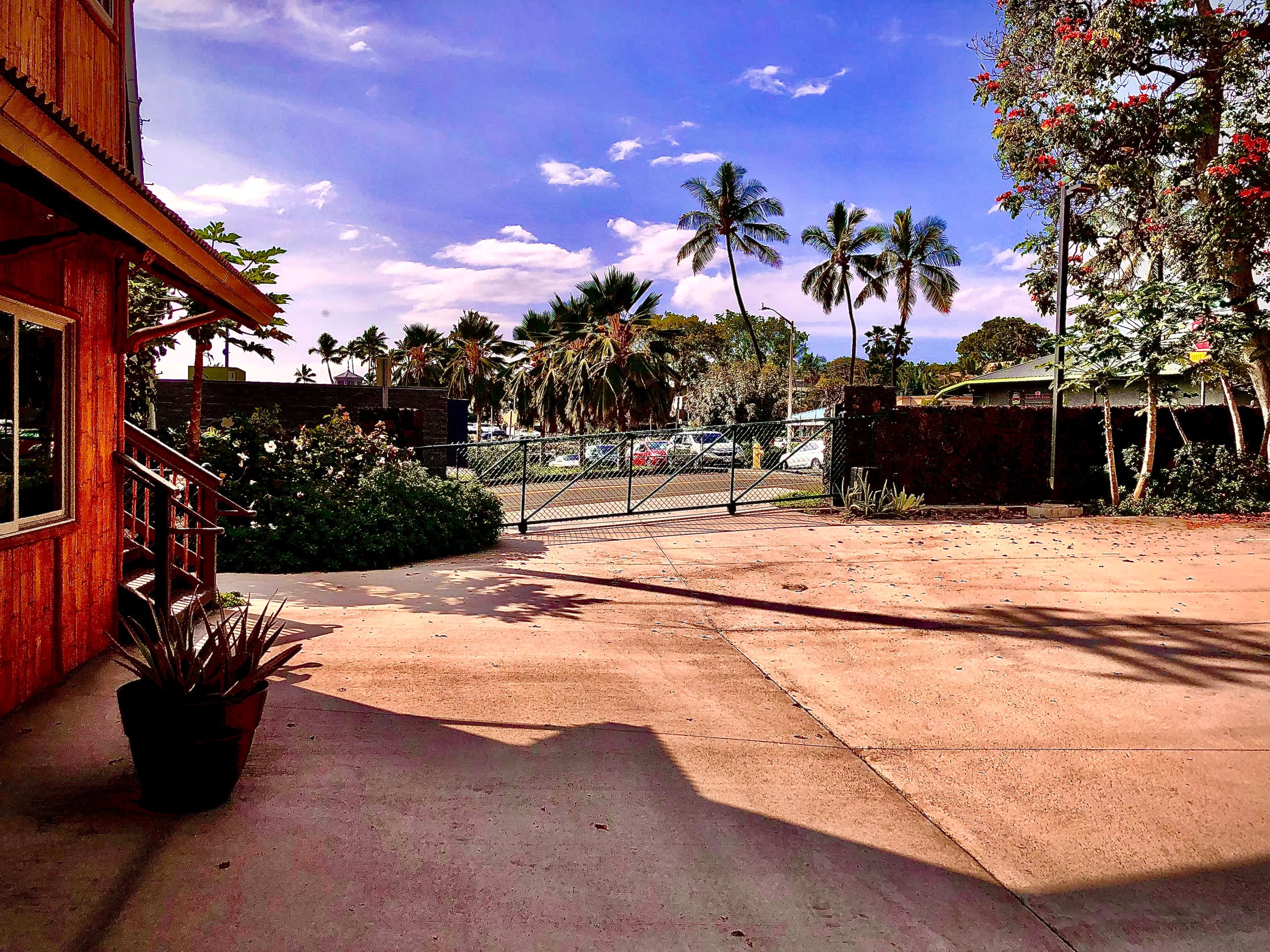 Condo in Kailua-Kona · ★4.91 · 1 bedroom · 1 bed · 1 bath - Image 18