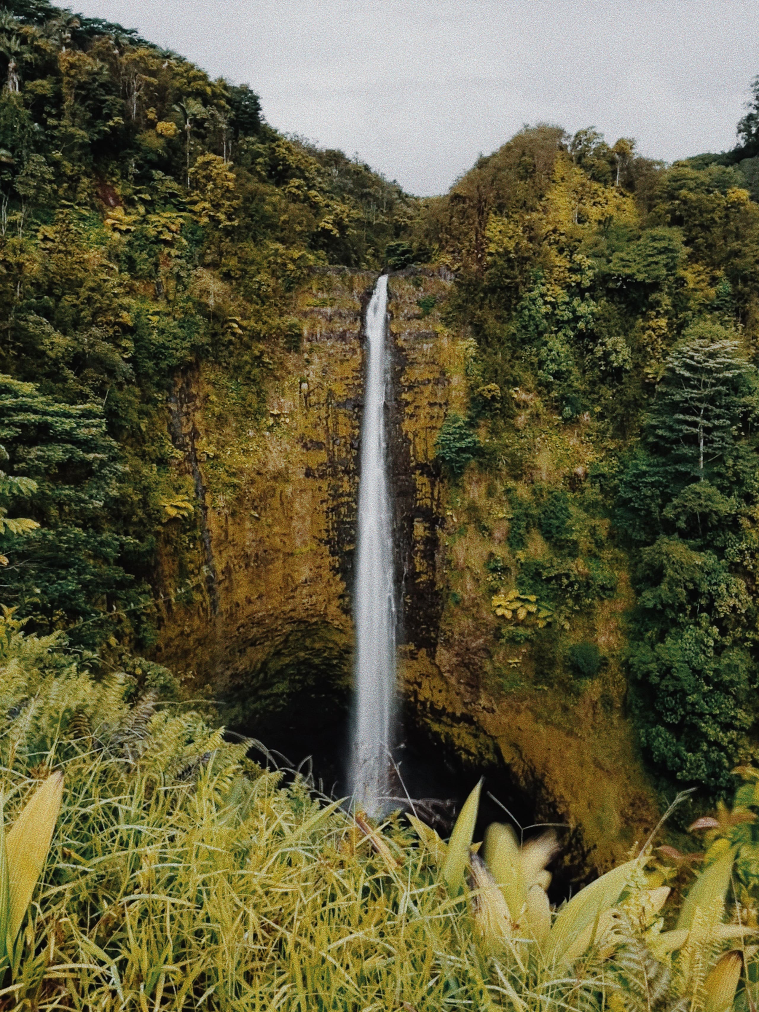 Inn at Akaka Falls - 15 Minutes to Hilo - Rm#5 - Image 1