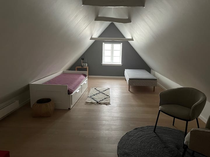 Dormitorio grande con 2 camas de una plaza