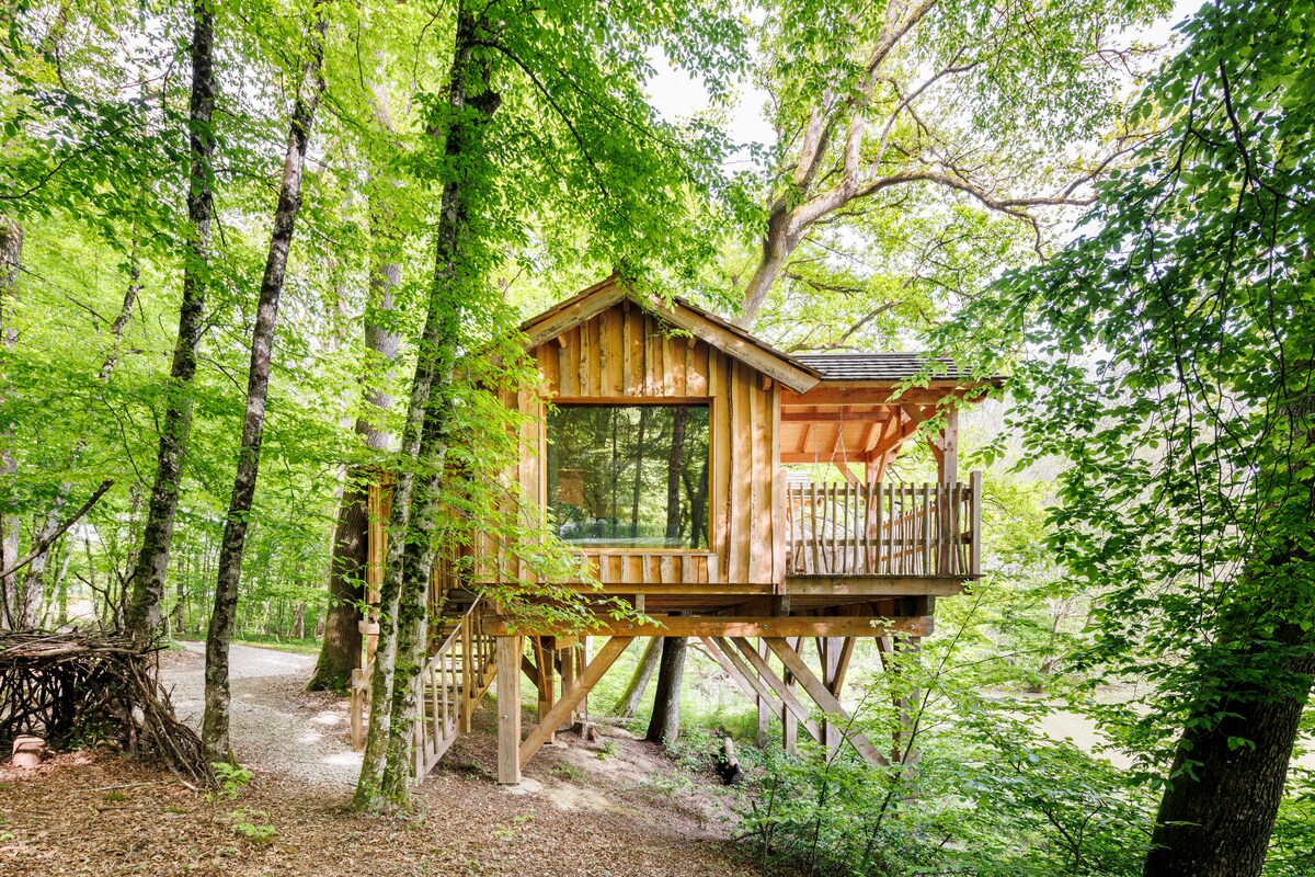A wooden cabin is elevated on stilts, surrounded by lush green trees. Large windows offer views of the forest, while a wooden deck extends outwards, inviting relaxation in nature. Natural light filters through the leaves, creating a serene atmosphere.