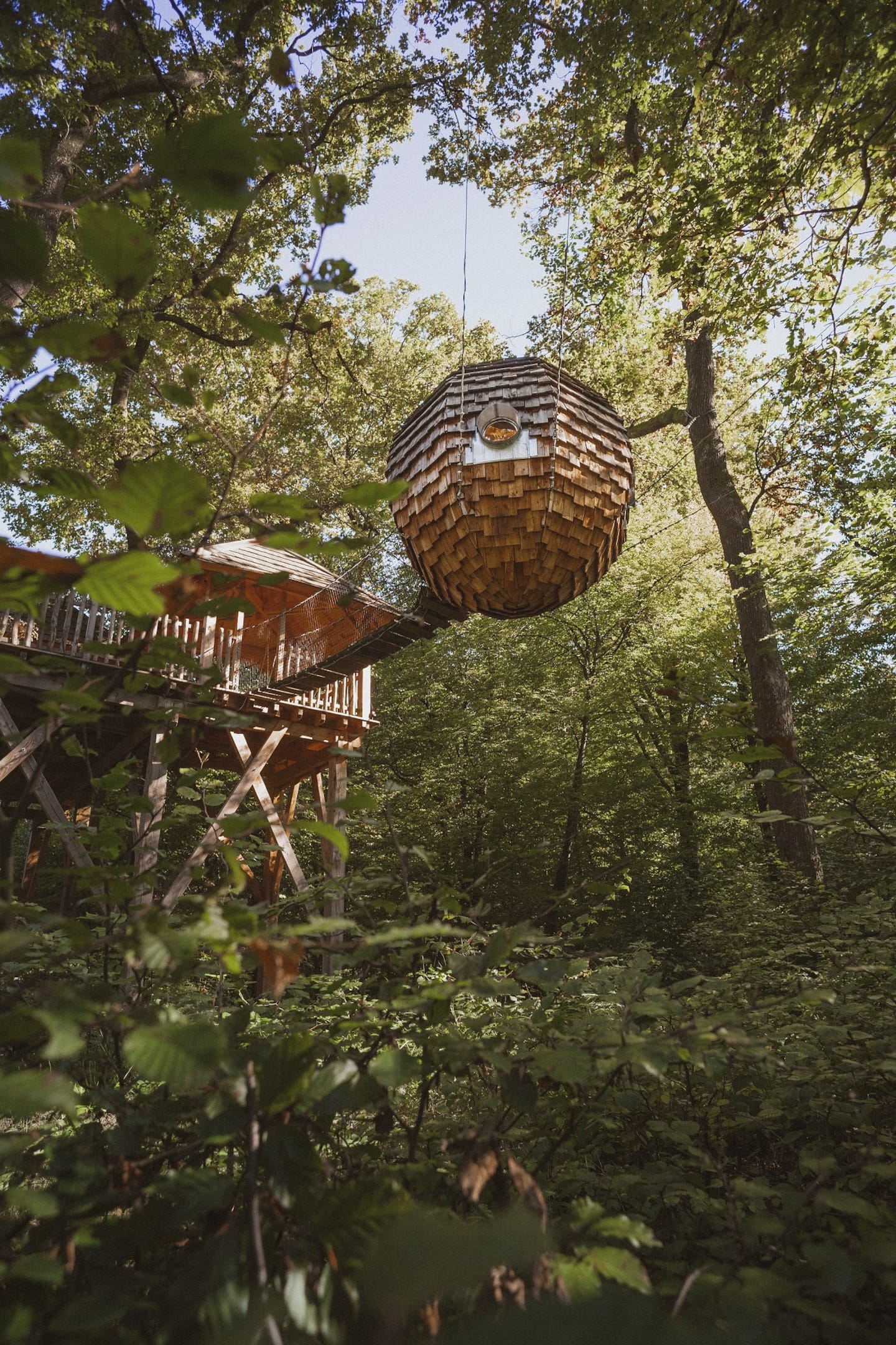 Passion Cabin Airbnb — photo 4