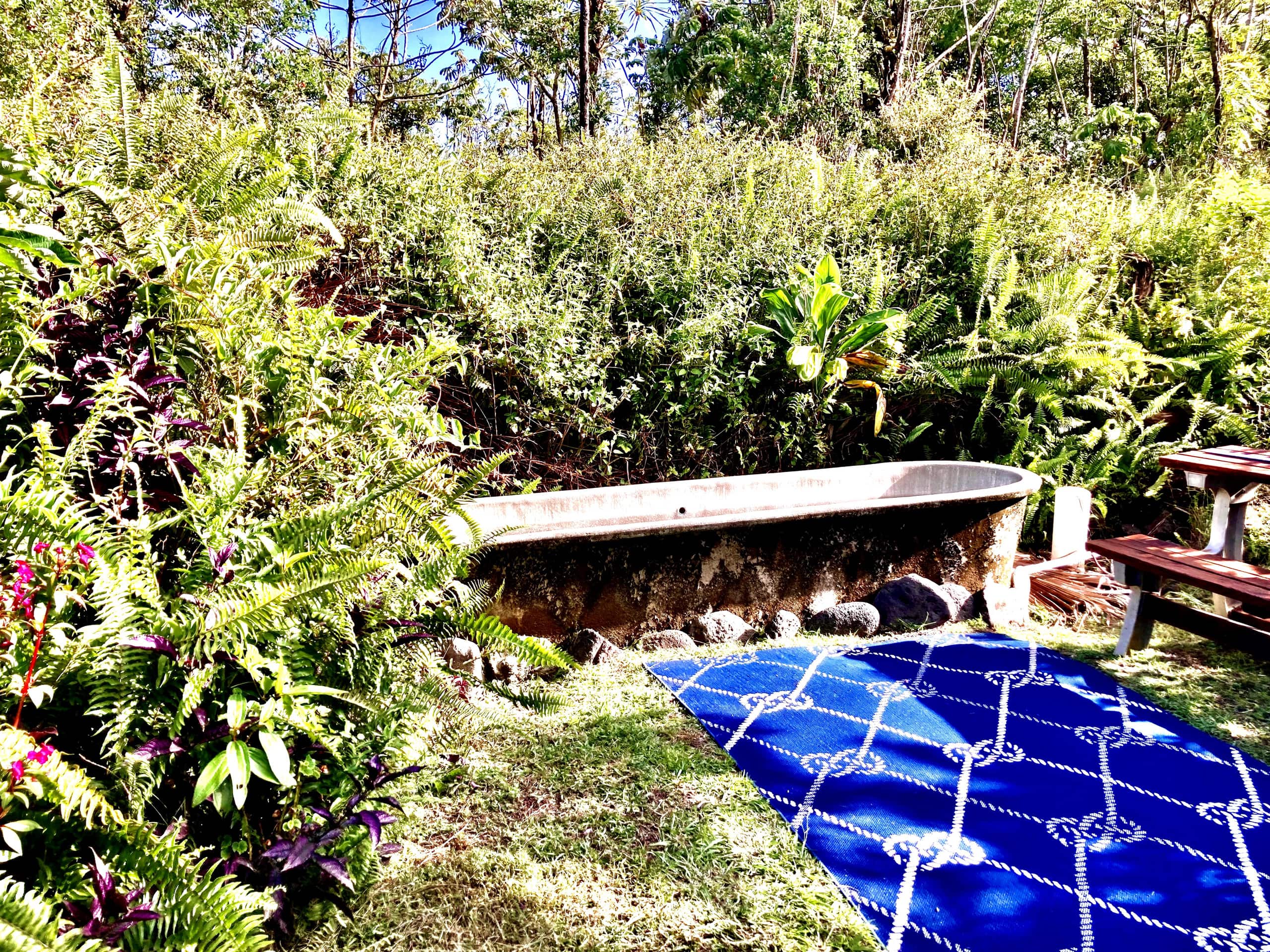 Puna Rainforest Retreat Hotspring: Purple Passion - Photo 8