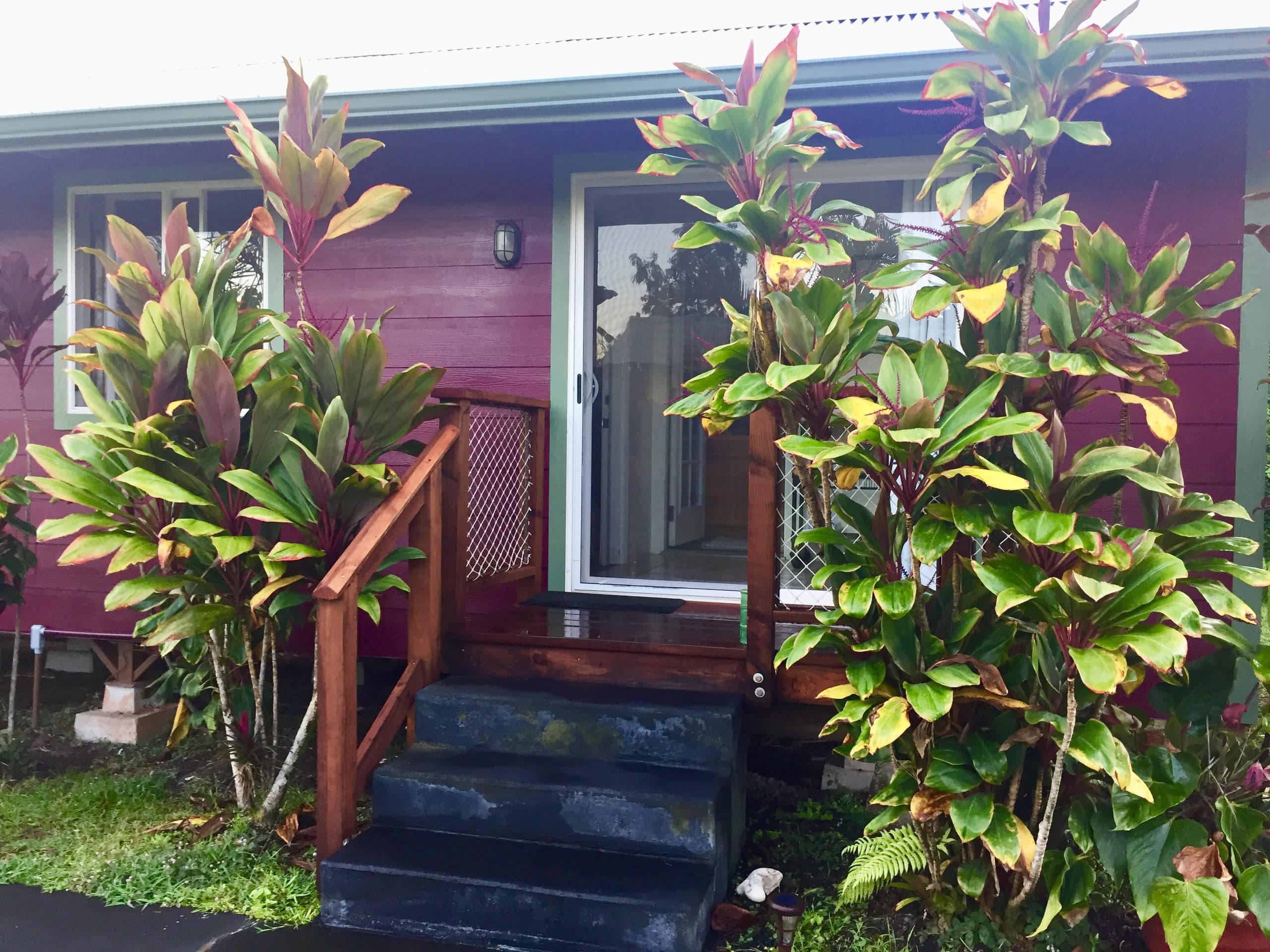 Puna Rainforest Retreat Hotspring: Purple Passion - Photo 2