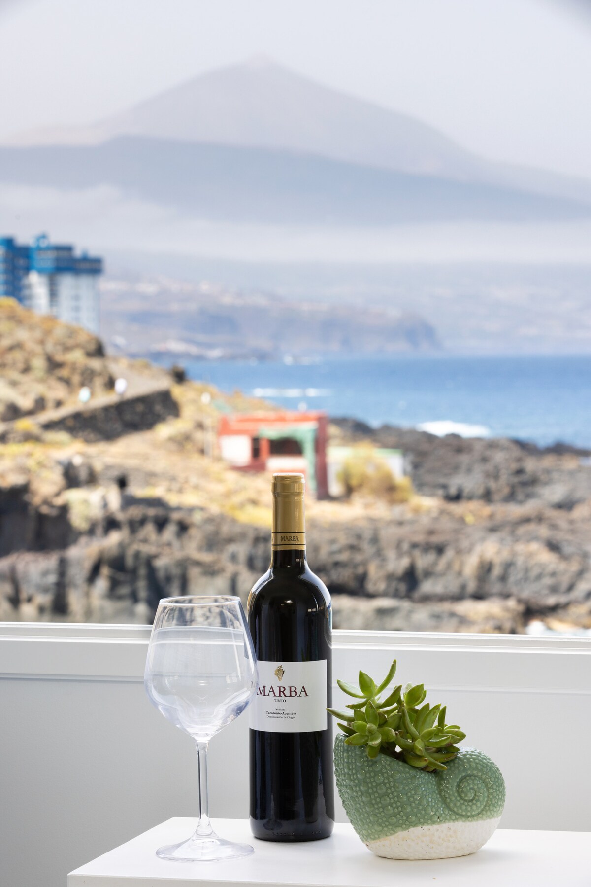 A bottle of wine stands next to a large wine glass and a decorative plant, positioned on a table. The backdrop features a scenic view of the ocean and a mountain, with coastal structures visible in the distance.