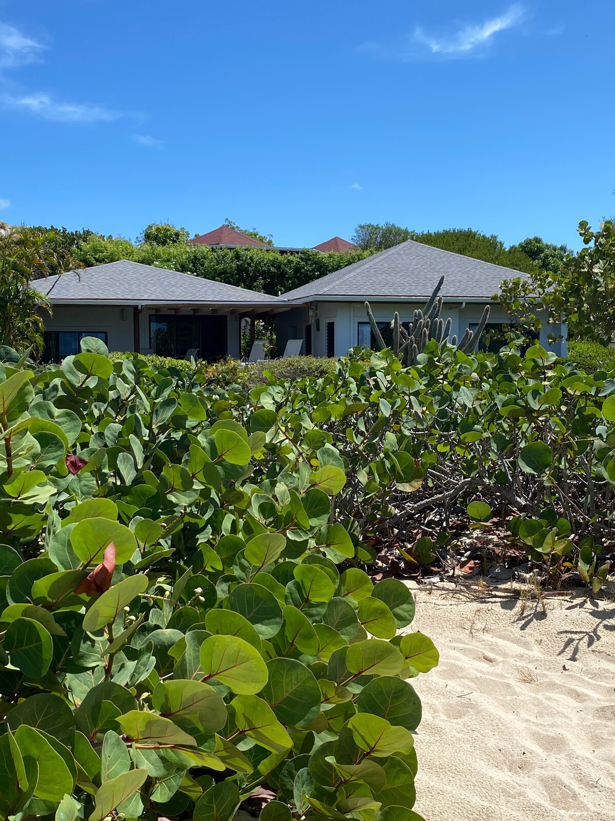 The Beach House is framed by lush green vegetation, showcasing its low-profile architecture against a backdrop of clear blue skies. The sandy path leads toward the entrance, hinting at the welcoming atmosphere just beyond the foliage.