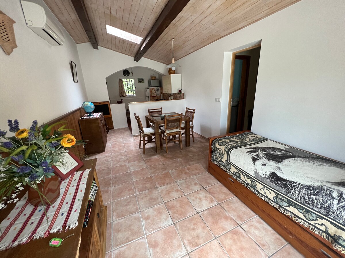 Annonce Airbnb populaire: Charming house in the heights of Antibes à Antibes