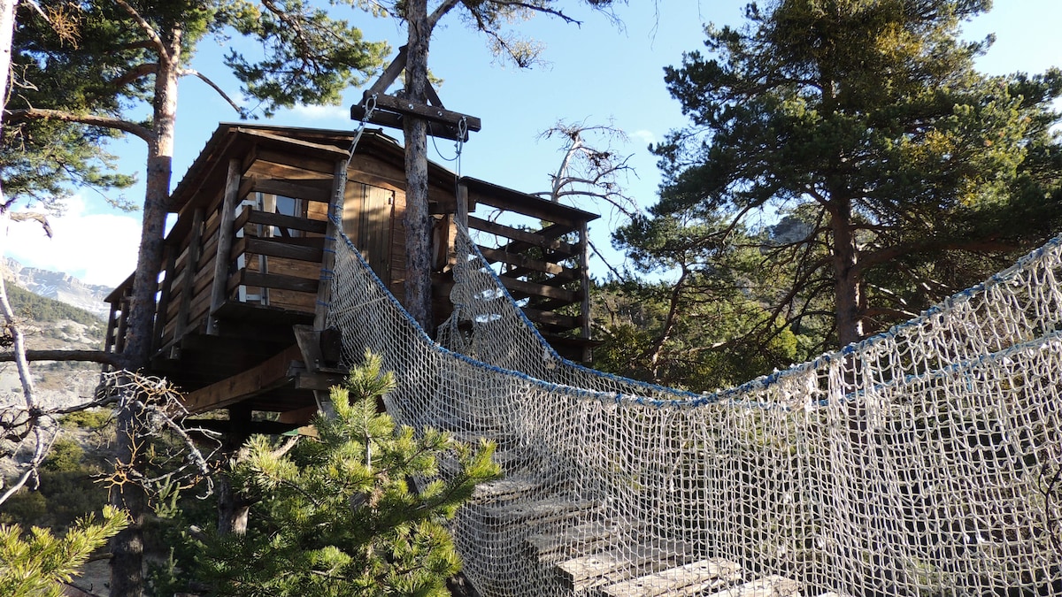An elevated wooden treehouse is nestled among sturdy trees, connected by a netted walkway. Natural surroundings emphasize the serene mountain setting. The wooden structure features a spacious balcony with wooden railings, offering views of the nearby wilderness.