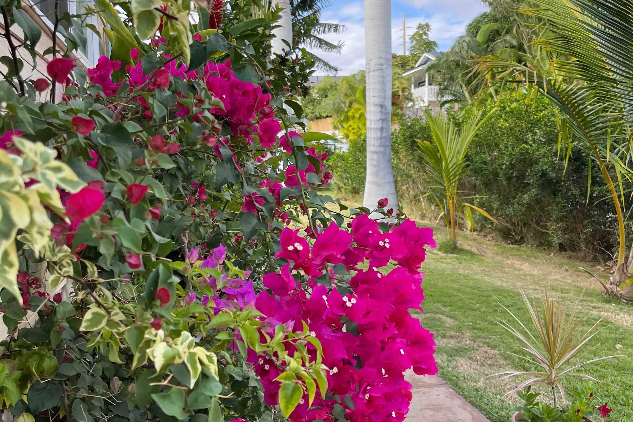 Home in Kihei · ★4.97 · 2 bedrooms · 3 beds · 2 baths - Image 14