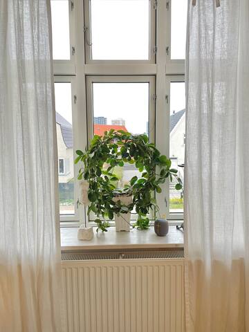 Beautiful Villa near the beach – light & airy. gallery image 4