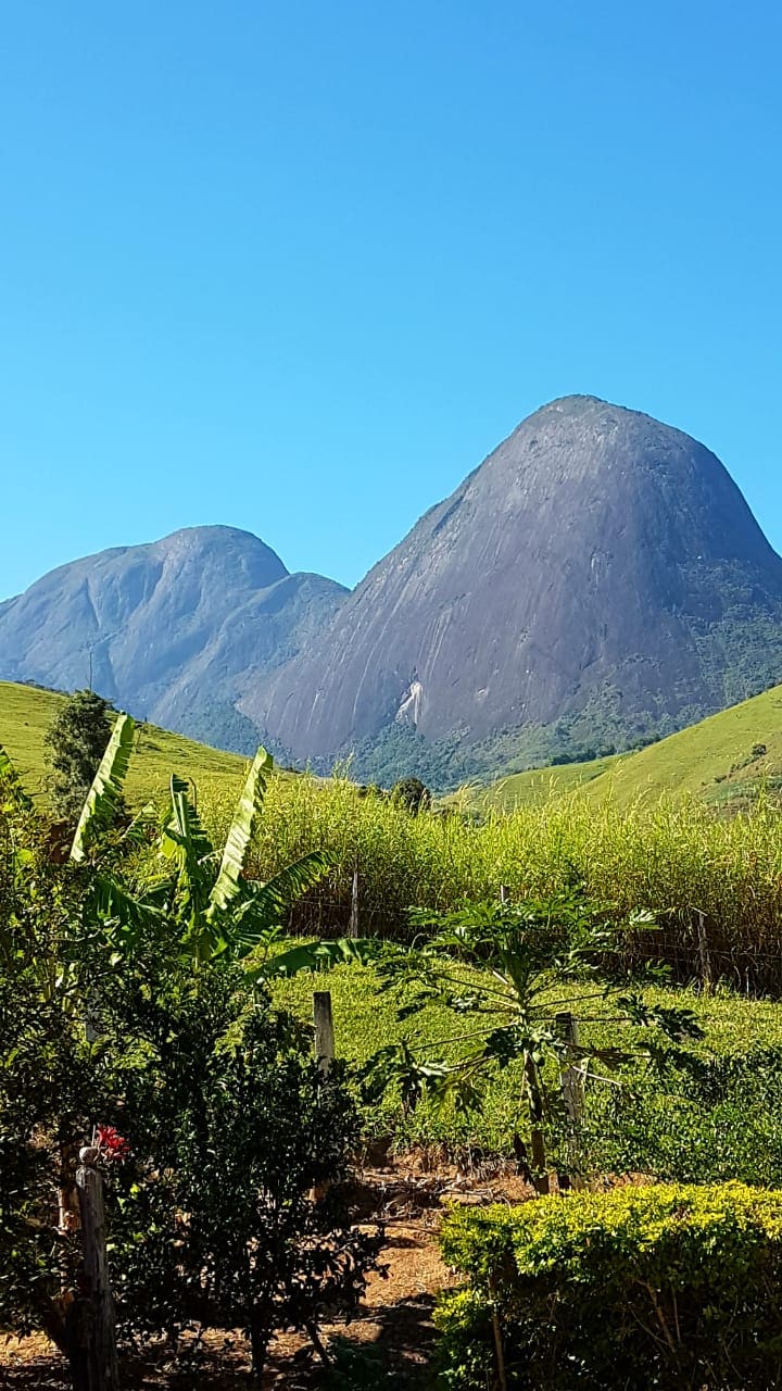 The image captures a scenic view of two prominent mountains rising against a clear blue sky. Lush green hills and various vegetation, including tall plants in the foreground, frame the landscape, enhancing the natural beauty of the setting.