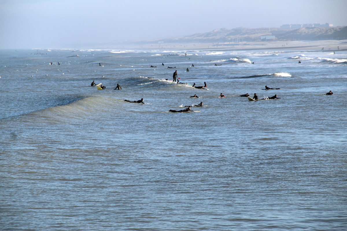 The ocean is filled with surfers enjoying the waves. Various boards can be seen navigating through the water, while others are lying on surfboards. The coastline in the background features gentle sand dunes, creating a serene atmosphere.