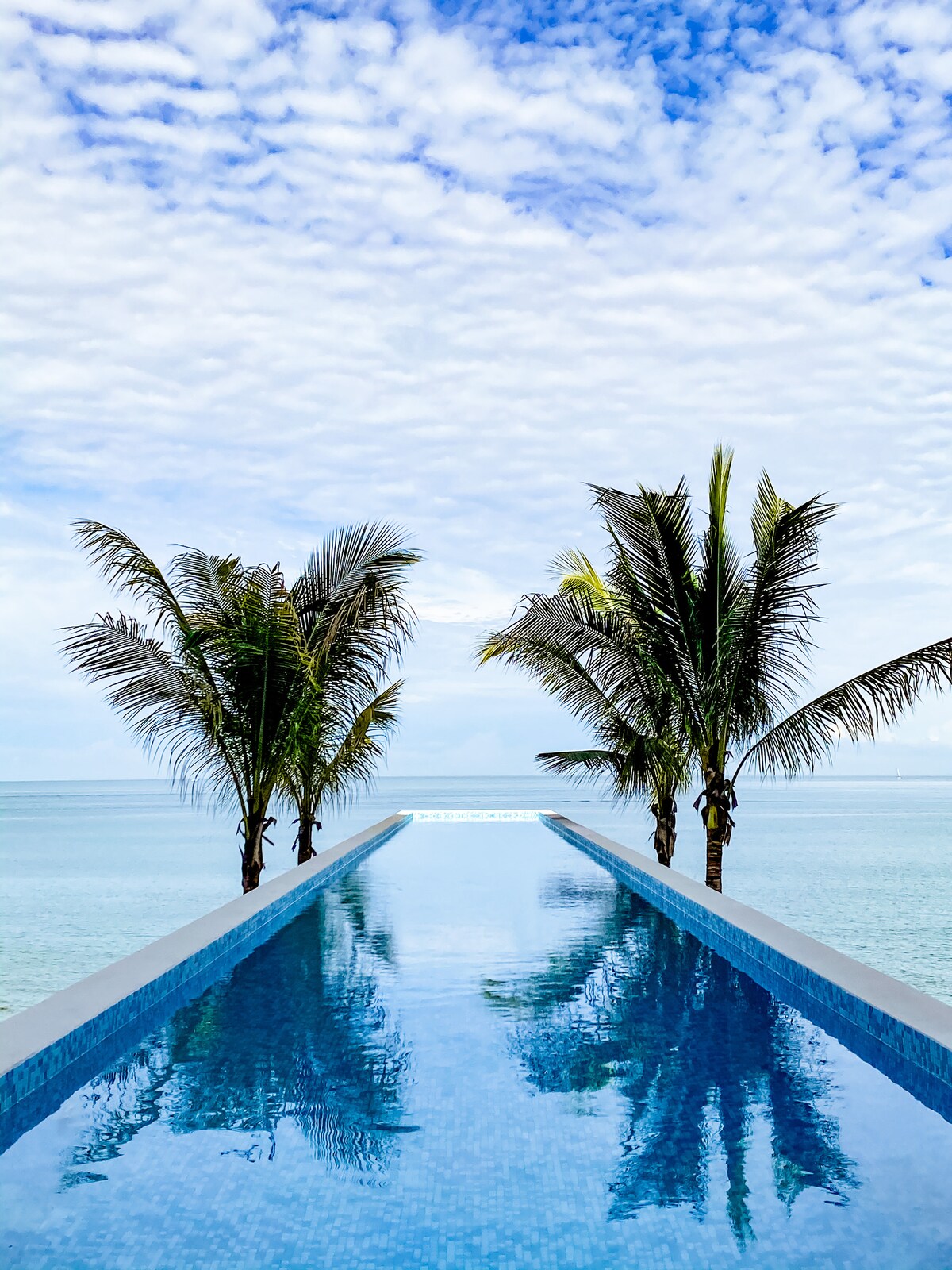 An infinity pool extends toward the horizon, reflecting the clear blue sky and surrounding palm trees. The tranquil ocean lies just beyond, enhancing the serene atmosphere of the space.