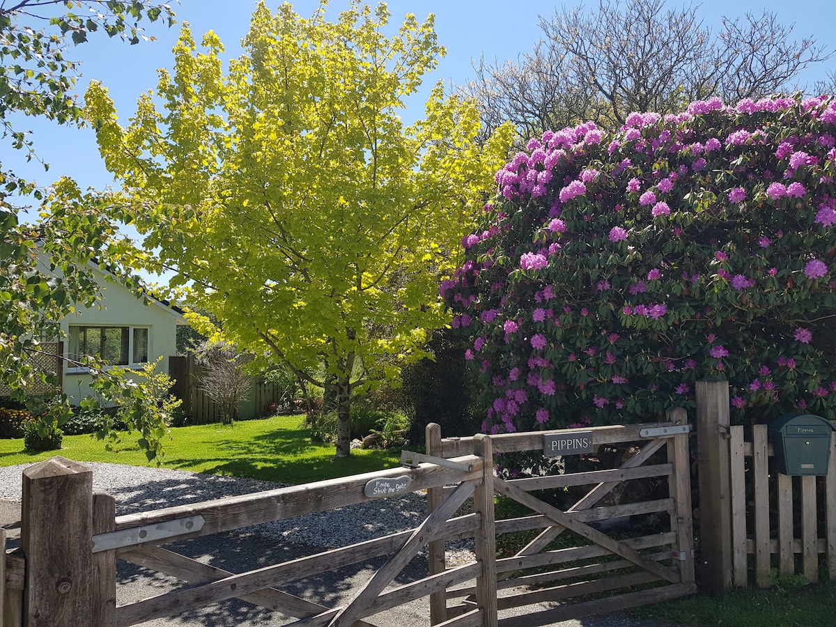 An inviting entrance is framed by a wooden gate, leading to the property named 'Pippins'. A lush green lawn is complemented by a vibrant yellow tree and blooming rhododendrons in shades of pink, creating a welcoming and serene atmosphere.