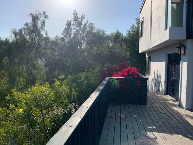 Beautiful, modern Topanga House!