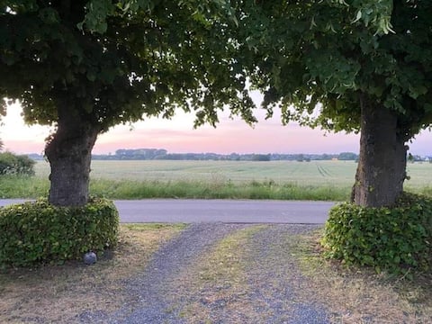 Top performing Airbnb: Butterup - rural idyll close to Holbæk. in Holbæk