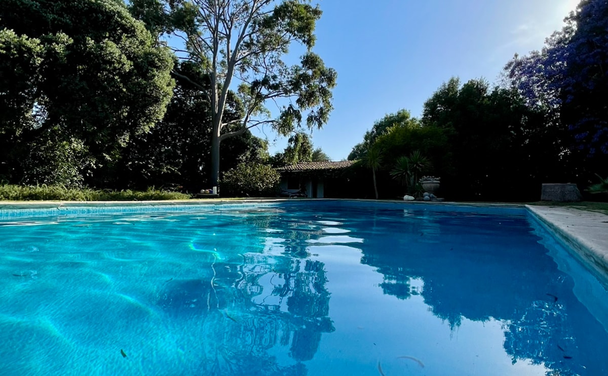 A tranquil pool reflects the clear blue sky, framed by lush greenery and trees. Surrounding the pool, an expansive garden provides a serene setting for relaxation. The peaceful atmosphere is enhanced by the absence of visible structures in the background.