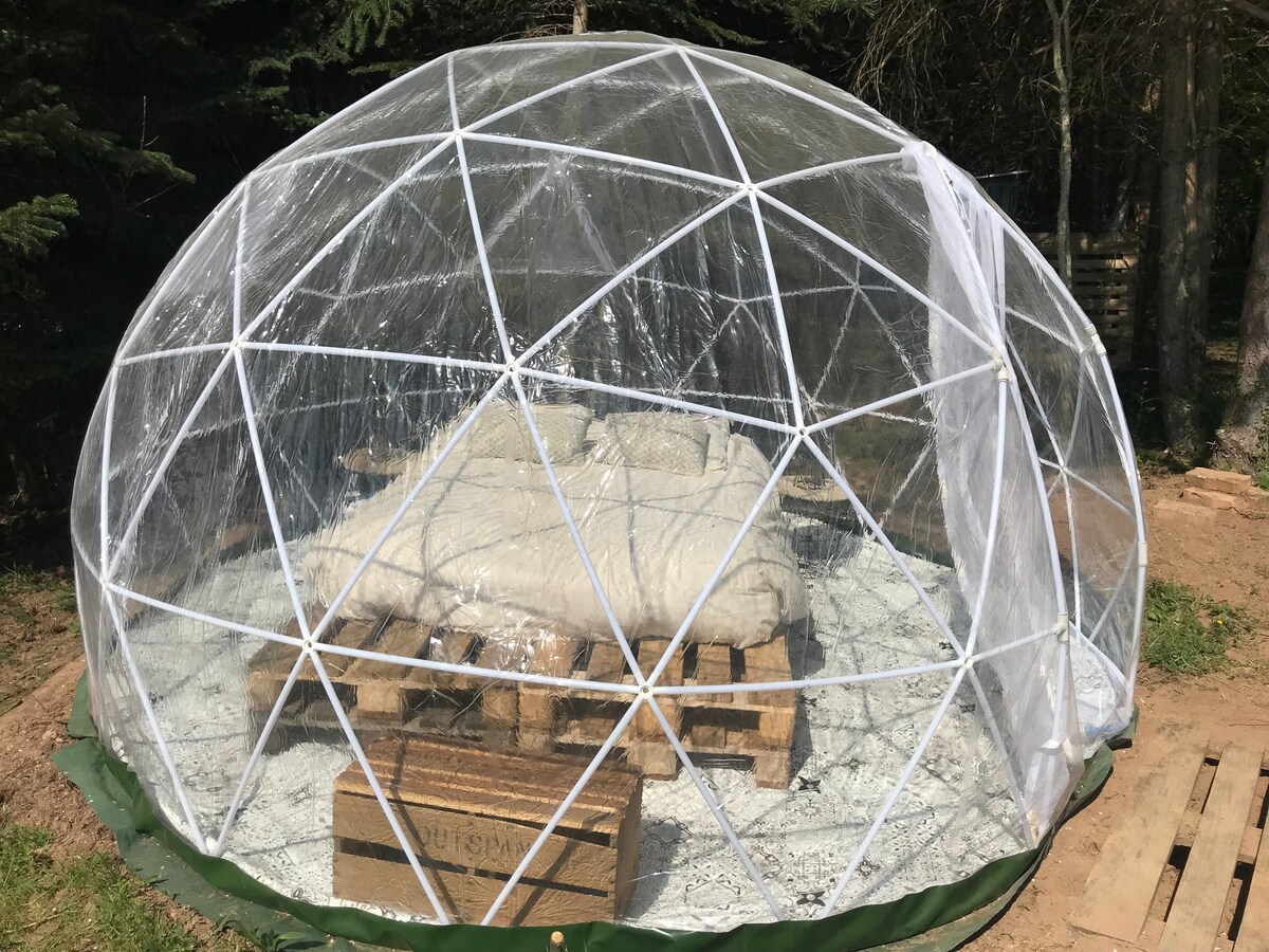 חדר בועות שקוף עם יתושים