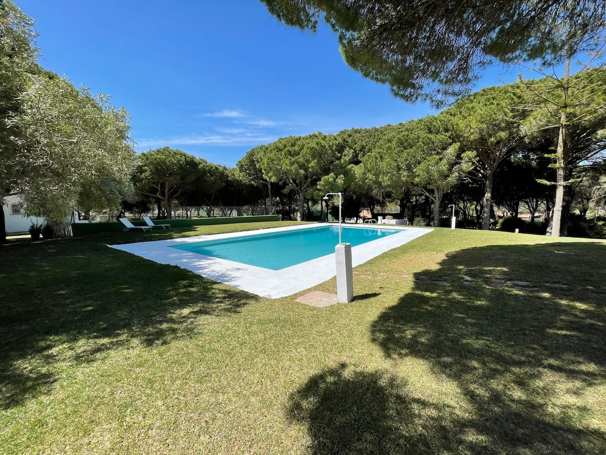 A clear blue swimming pool is surrounded by well-maintained grass and shade provided by tall pine trees. Lounge chairs are positioned nearby, inviting relaxation under the sun. The serene landscape offers a peaceful retreat within the spacious grounds of the property.