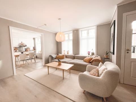 Large apartment in the middle of the city center with free parking