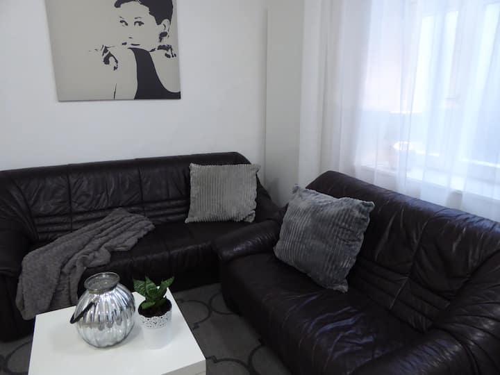 Zentrum 2-zimmer-wohnung - エルランゲン